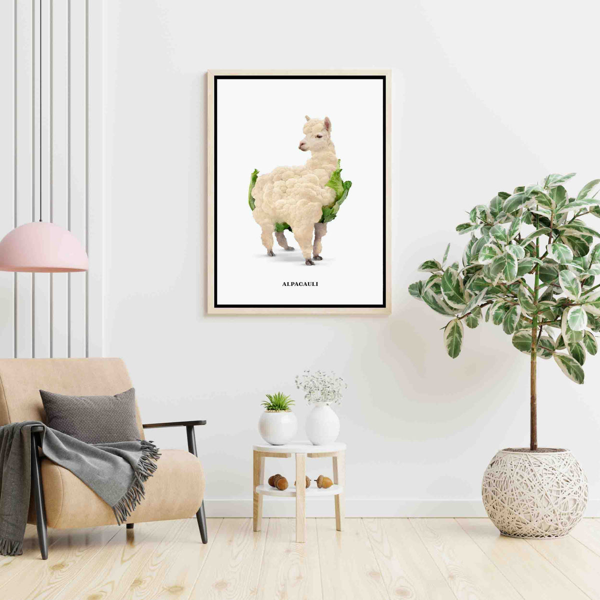 ALPACAULI | CANVAS