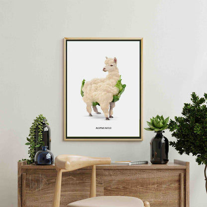 ALPACAULI | CANVAS