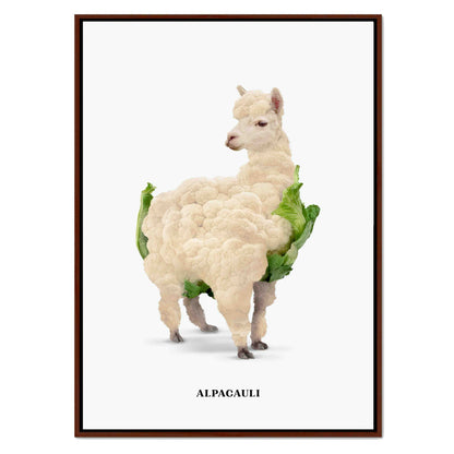 ALPACAULI | CANVAS