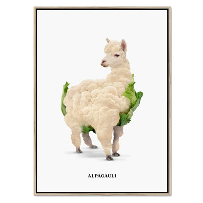 ALPACAULI | CANVAS