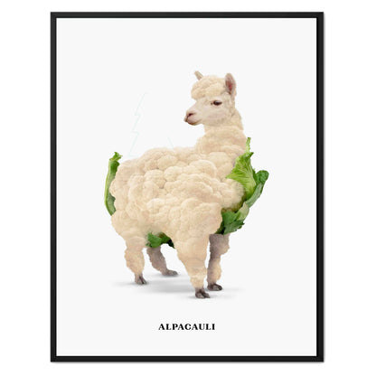 ALPACAULI | CANVAS