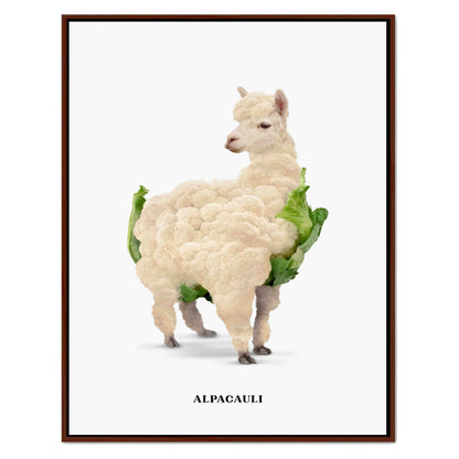 ALPACAULI | CANVAS