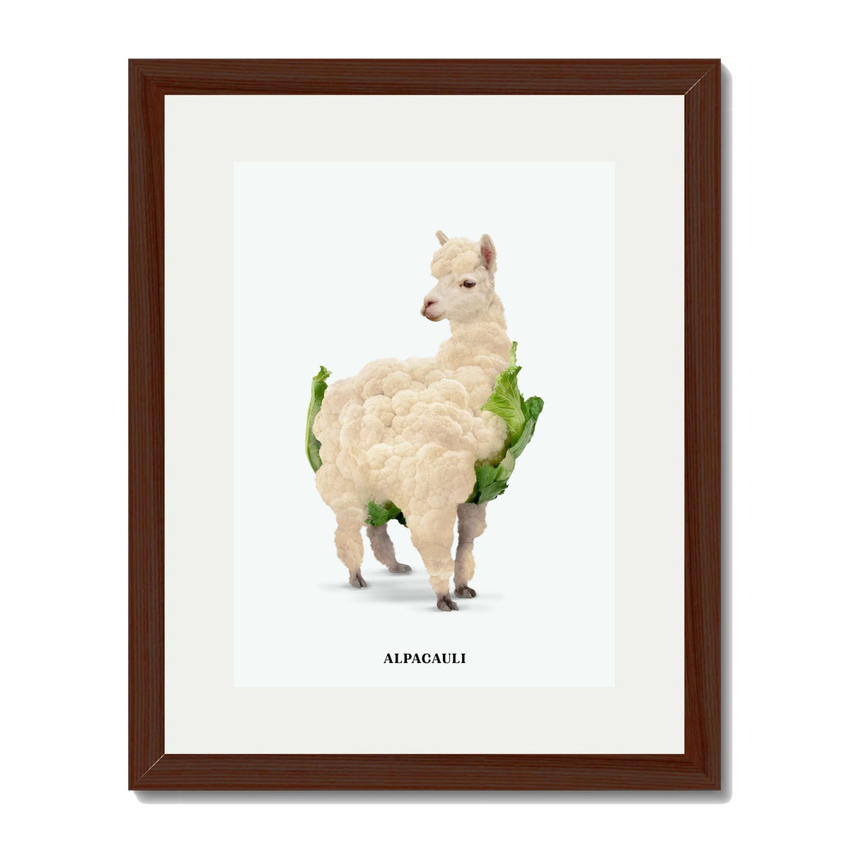 ALPACAULI | PRINT
