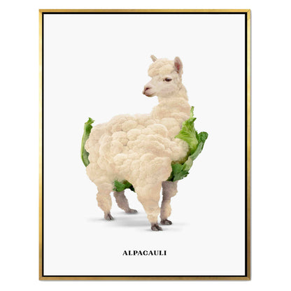ALPACAULI | CANVAS