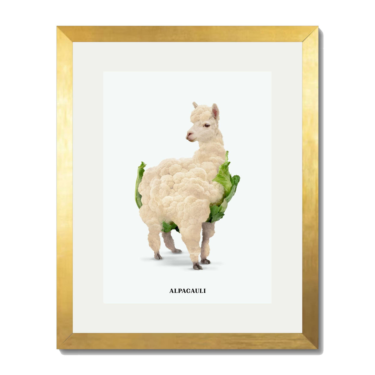 ALPACAULI | PRINT