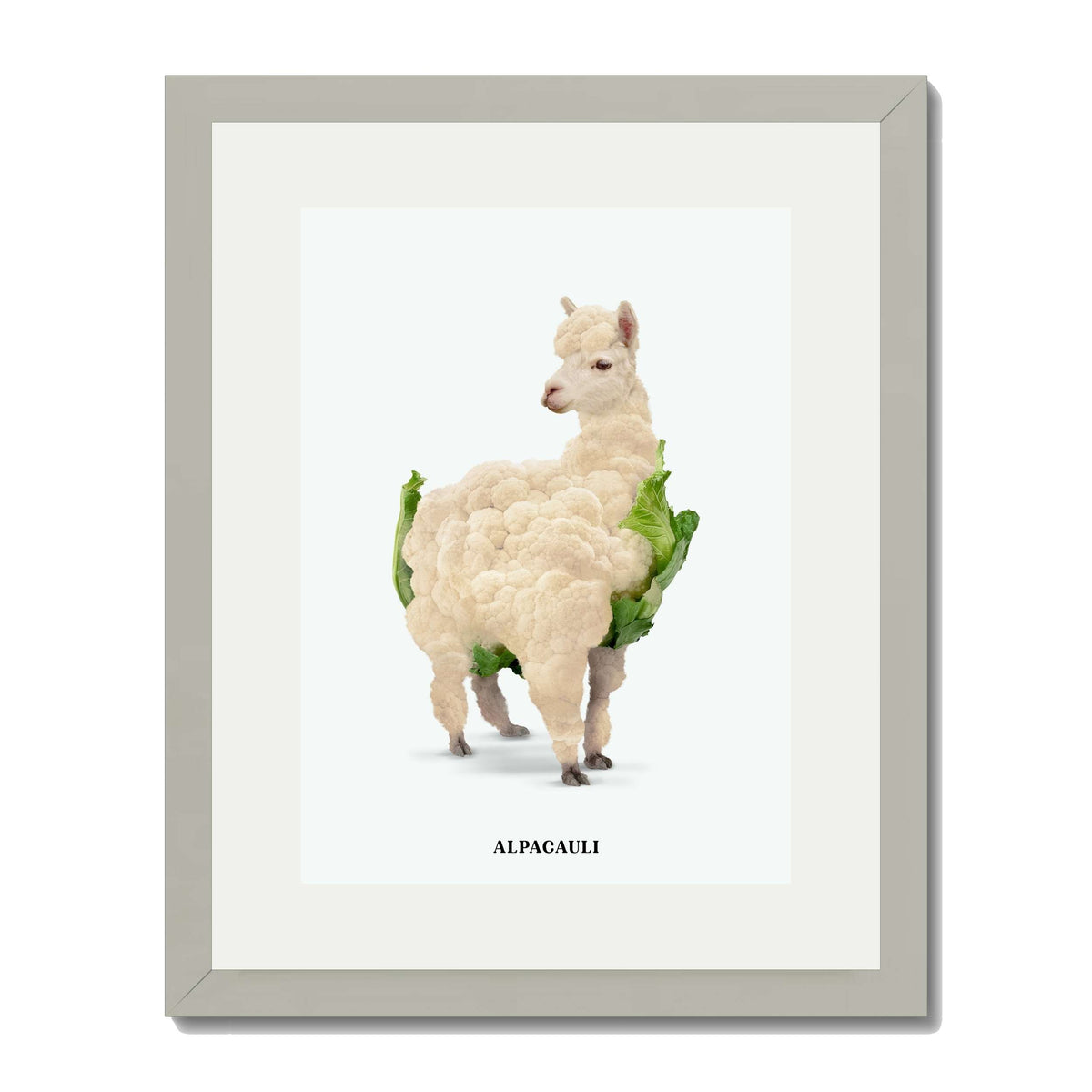 ALPACAULI | PRINT