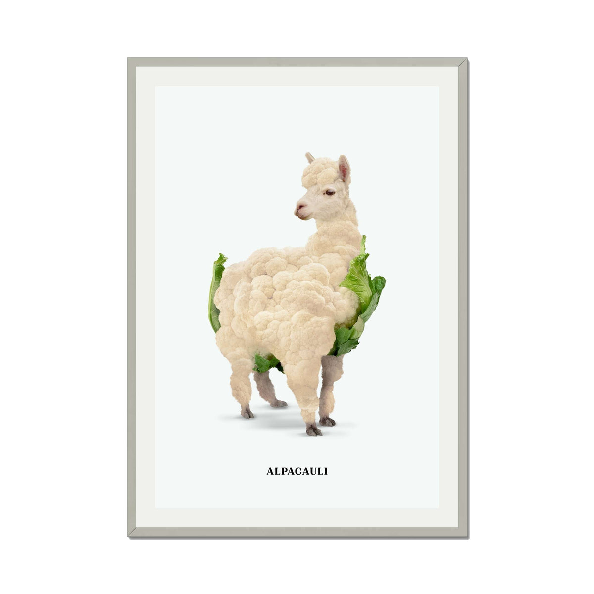 ALPACAULI | PRINT
