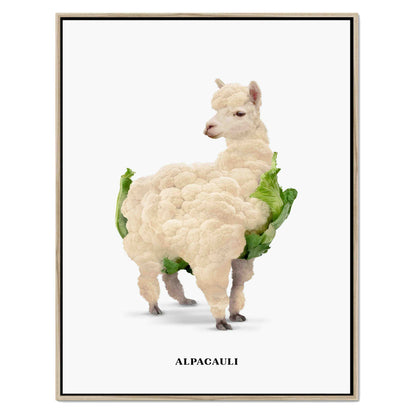 ALPACAULI | CANVAS