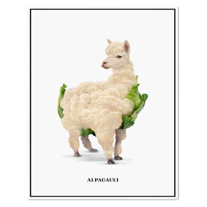 ALPACAULI | CANVAS