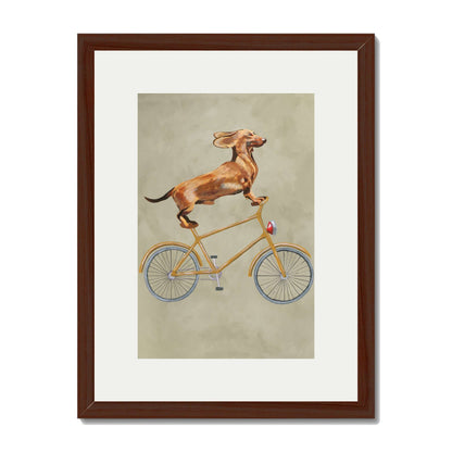 DACHSHUND ON BICYCLE | PRINT