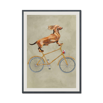 DACHSHUND ON BICYCLE | PRINT