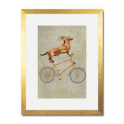 DACHSHUND ON BICYCLE | PRINT