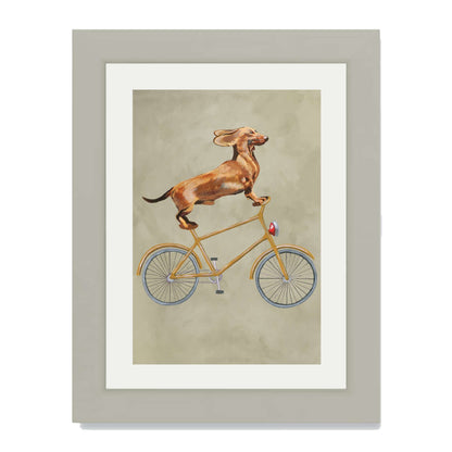 DACHSHUND ON BICYCLE | PRINT