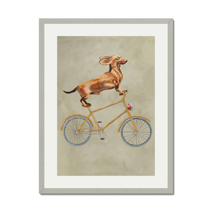 DACHSHUND ON BICYCLE | PRINT