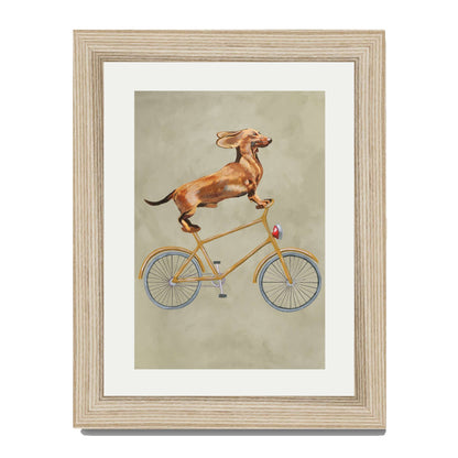 DACHSHUND ON BICYCLE | PRINT