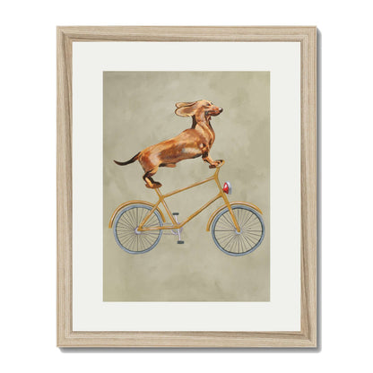 DACHSHUND ON BICYCLE | PRINT