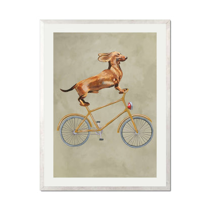 DACHSHUND ON BICYCLE | PRINT