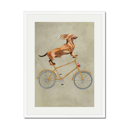 DACHSHUND ON BICYCLE | PRINT
