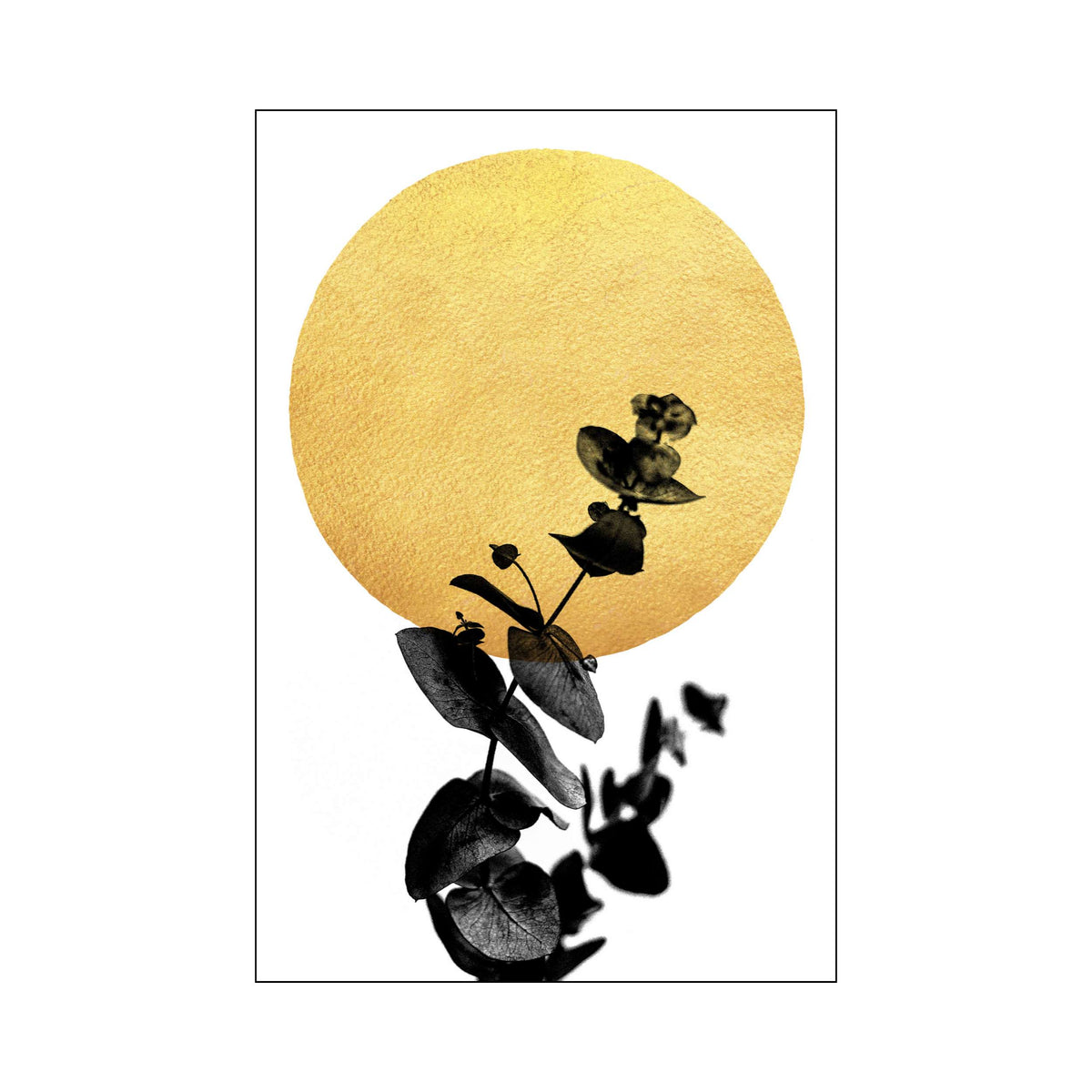 LA VIE EN ROSE | PRINT