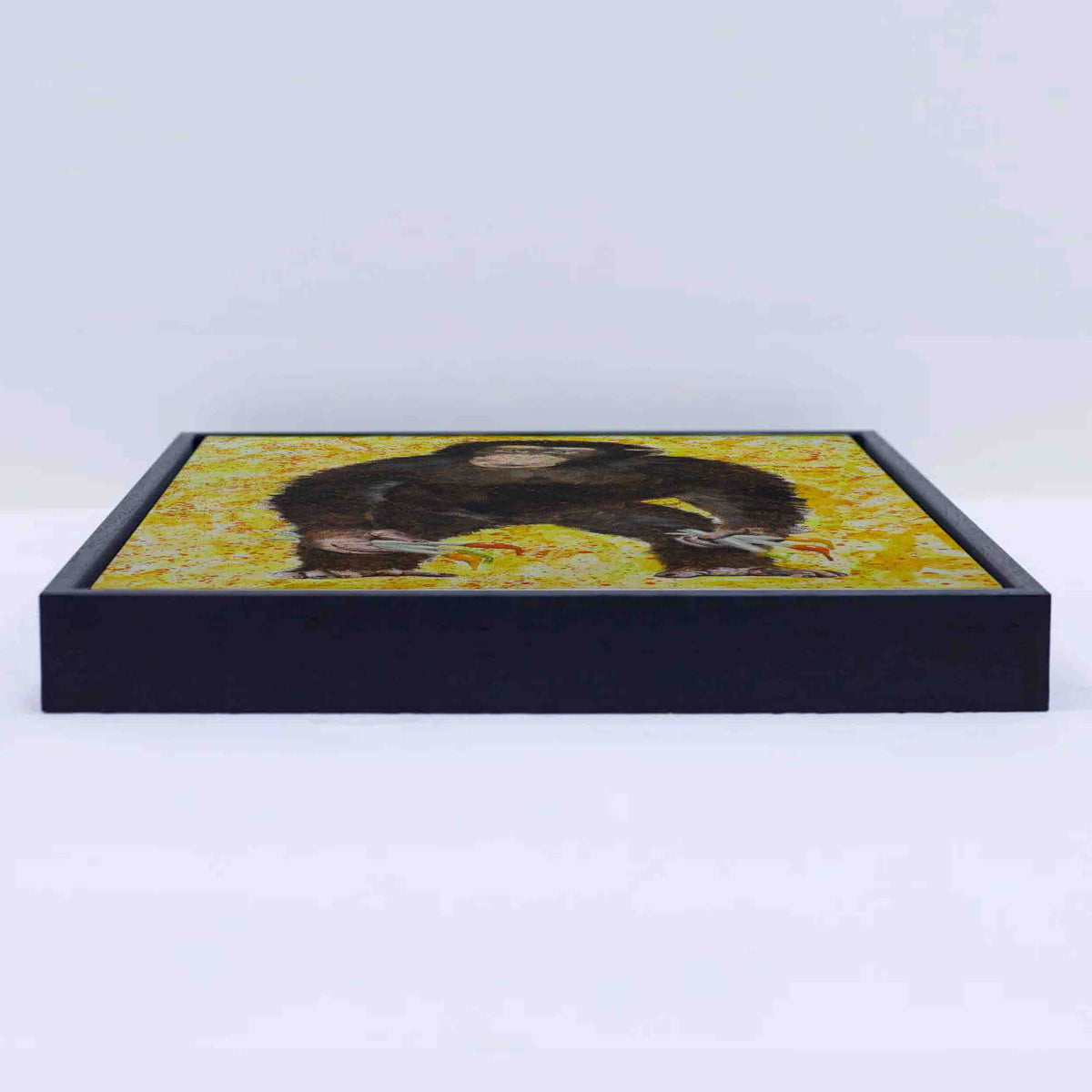 MONKEY ARTIST | CANVAS