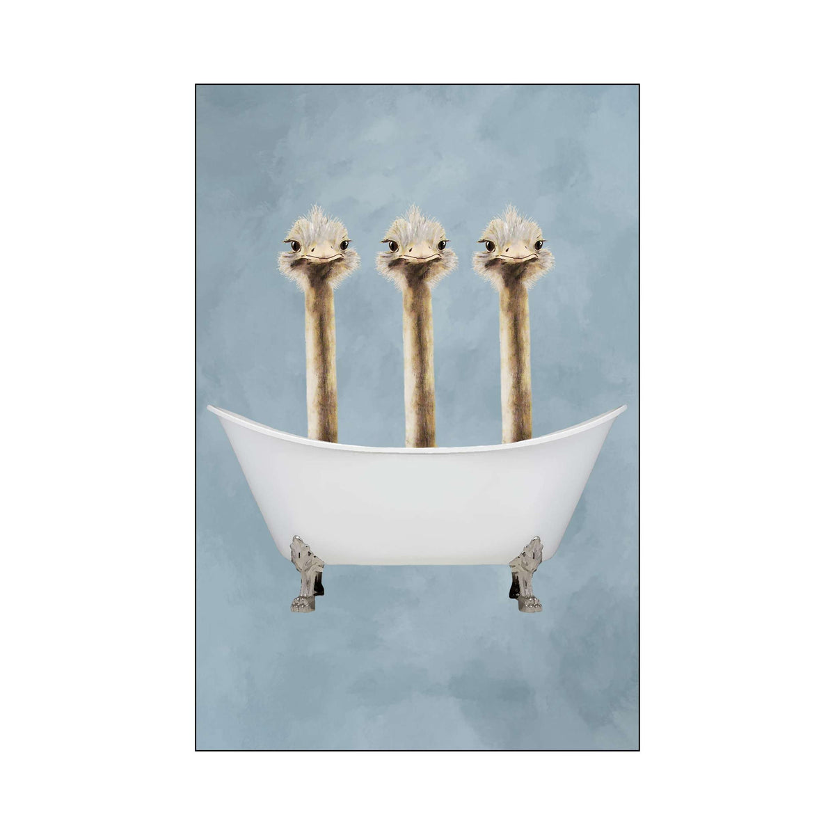 OSTRICHES IN BATHTUB | PRINT