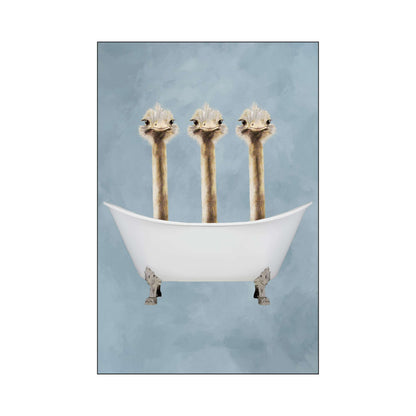 OSTRICHES IN BATHTUB | PRINT
