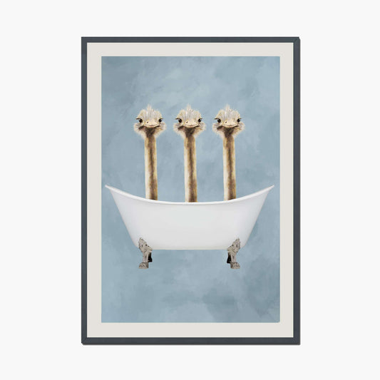 OSTRICHES IN BATHTUB | PRINT