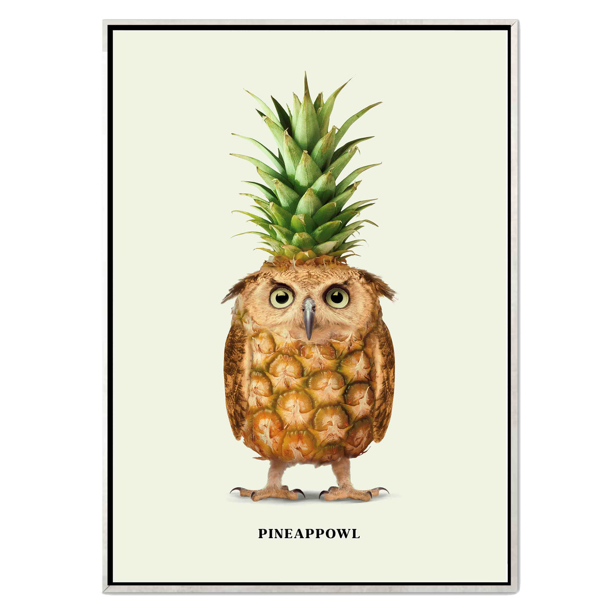 PINEAPPOWL | CANVAS